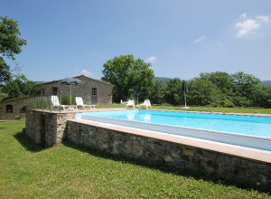 image0 Il Pavone