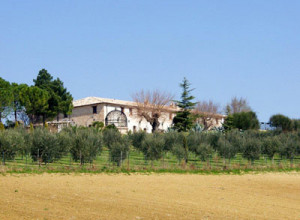 image8 Villa Palombara