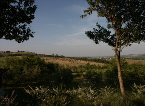 image3 Villa Palombara