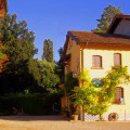 Arrigoni Arrigo