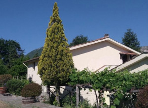 image7 Collevento