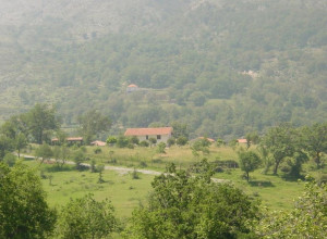 image11 Collevento