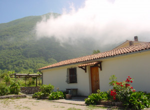 image6 Collevento