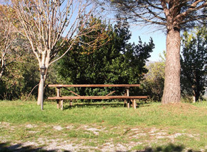 image15 Collevento