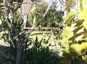 image4 Collevento