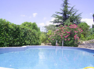 image19 Tra I Frutti