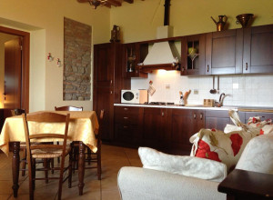 image9 Papaveri E Papere