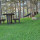 preview image4 dintorni