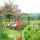 preview image2 esterno