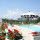preview image9 piscina