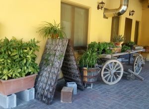 image6 Lo Sprin