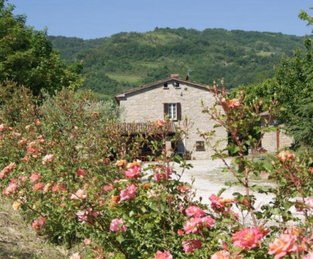 Ferienbauernhof Corte Dei Mori - Brisighella