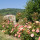 preview image3 esterno