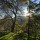 preview image4 esterno