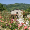 Corte Dei Mori