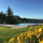 preview image6 piscina
