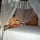 preview image8 appartamento