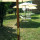 preview image4 giardino