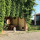preview image6 giardino