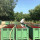 preview image10 produzione