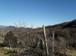 image11 Mondragon