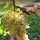 preview image4 produzione