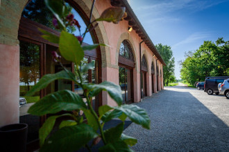 image5 Rechsteiner
