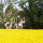 preview image3 esterno