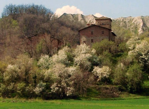 image7 Cà Bertù