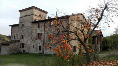image15 Cà Bertù