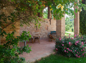 image9 Cà Bertù