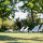 preview image20 giardino