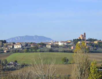 il podere del germano reale