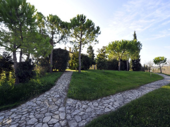 il podere del germano reale foto giardino 11