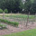 preview image3 esterno