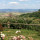 preview image2 panorama