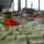 preview image10 piscina