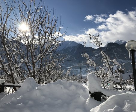 Foto verger plein soleil