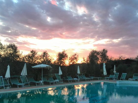 Verger Plein Soleil - foto 6