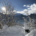 Verger Plein Soleil
