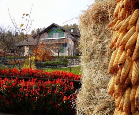 Casa Rural Maso Palu' - Torcegno