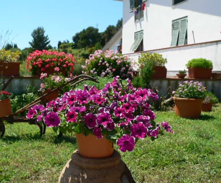 Casa-rural I Cinque Lecci - Livorno