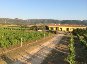 image7 Campesi