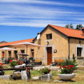 Il Castelluccio