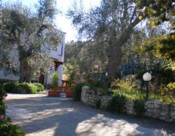 azienda agricola macchiaria