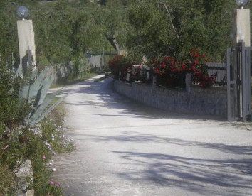 azienda agricola macchiaria