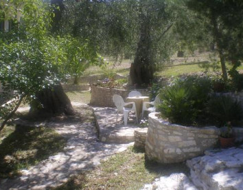 azienda agricola macchiaria