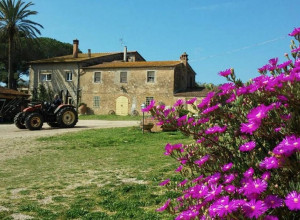 La valentina nuova