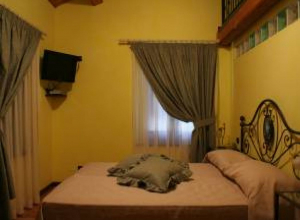 image6 Poggio Agli Ulivi
