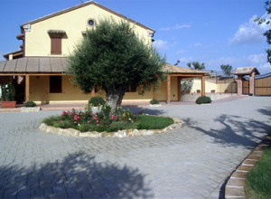 image0 Poggio Agli Ulivi